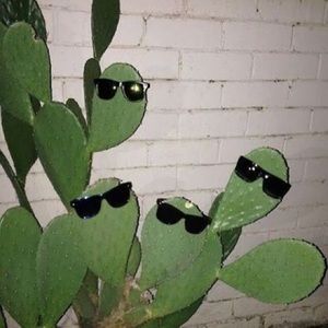 Meet your Posher, Leticia